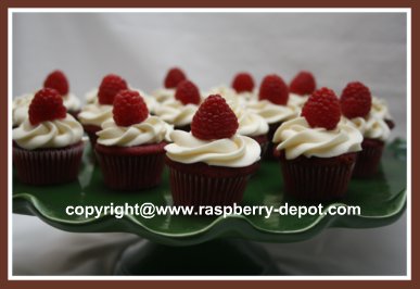 Mini Homemade Red Velvet Cupcakes with Cream Cheese Icing