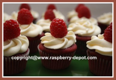 Best Red Velvet Cupcakes Recipe