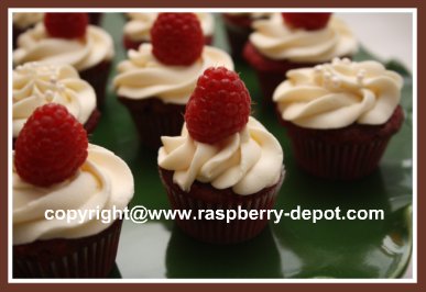 Red Velvet Cupcakes with Cream Cheese Icing