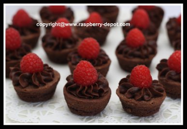 Easiest Brownie Tarts with Fresh Raspberries