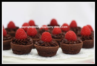 Iced and Decorated Brownie Bits