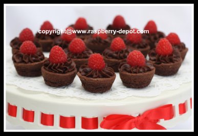 Easiest Iced Brownies /Tarts with Fresh Raspberries Recipe