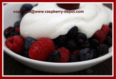 Sour Cream and Berries