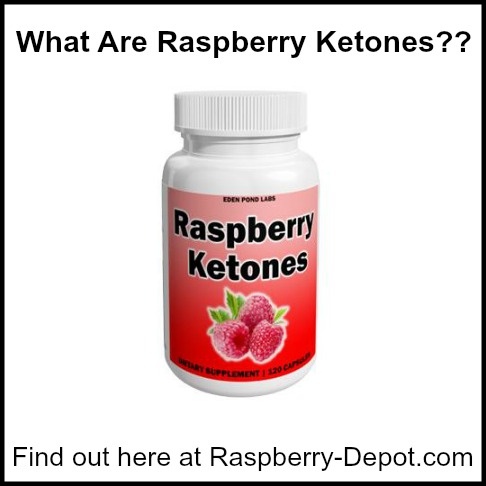 Raspberry ketone extract