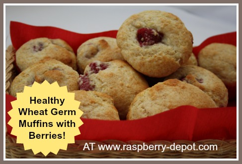 Healthy Muffins with Raspberries and Wheat Germ