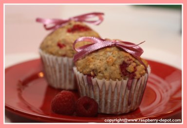 Raspberry Whole Wheat Muffins