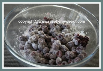 Wild Raspberries for Recipe 