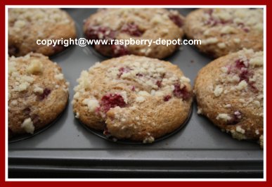 Homemade Healthy Berry Muffins with Yogurt