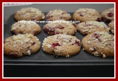 Healthy Homemade Yogurt Muffins with Berries