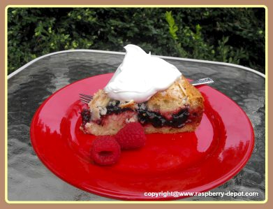 Slice of Raspberry Coffee Cake