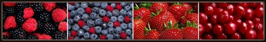 Berries are Examples of Foods High in Antioxidants