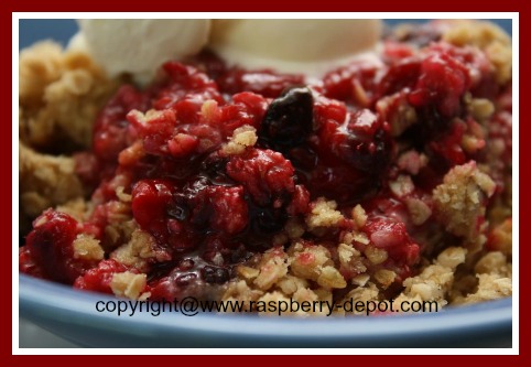 Best Raspberry Crumble Using Fresh OR Frozen Raspberries