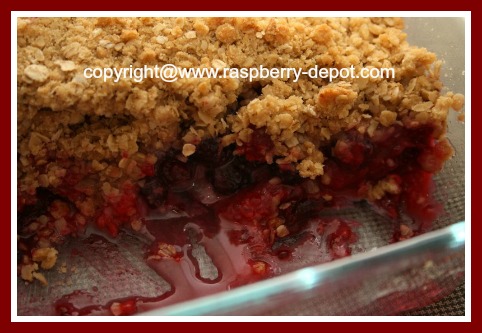 Black and/or Red Raspberry Recipe Idea Crumble Dessert