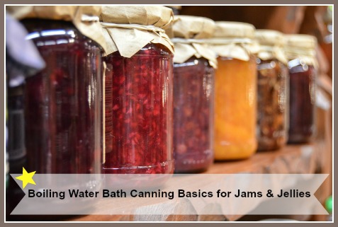 Boiling Water Bath Canning Instructions for Fruit Jams Jellies Conserves