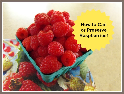 Canning Raspberries How to Preserve Raspberries Recipe