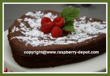 Gluten Free Chocolate Cake Recipe or Make Cupcakes
