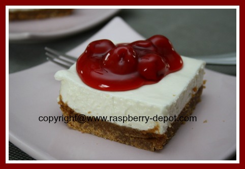 Homemade Cheesecake Recipe with a Graham Cracker Crumb Crust!