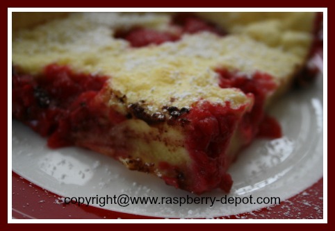Dutch Baby Pancake with Fruit 