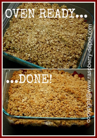Easy Dessert Fruit Crumble with Oatmeal topping Using Red Black Purple Yellow or Wild Raspberries