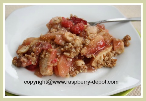 Easy Quick Gluten Free / Wheat Free Raspberry Dessert Crumble
