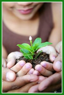 Gardening with Children