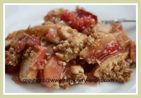 Gluten Free Raspberry Apple Crumble Dessert