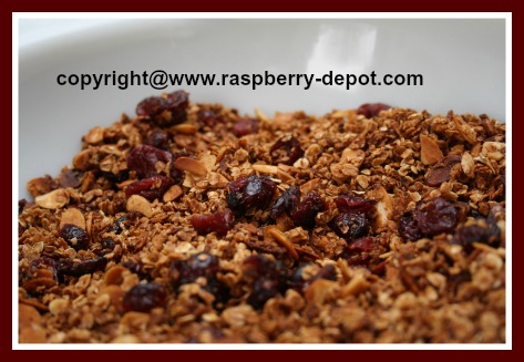 Homemade Granola with Dried Fruit Recipe 