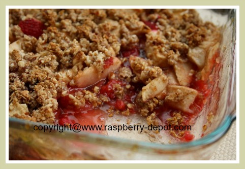Homemade Gluten Free Raspberry Dessert Recipe Idea