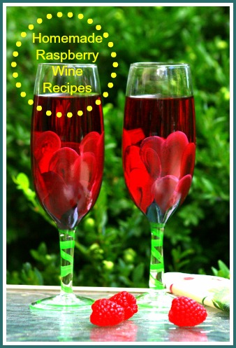 Homemade Raspberry Wine Recipes