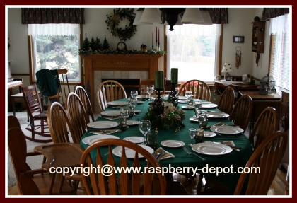 Hosting a Christmas Party 