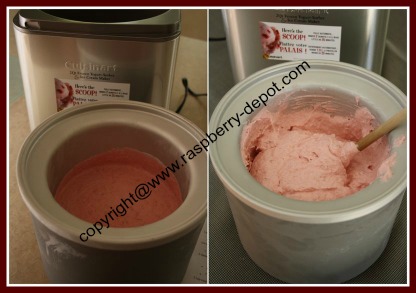 Ice Cream Recipe for Ice Cream Maker Raspberry Ice Cream