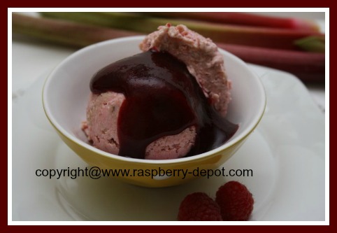 Homemade Ice Cream with Topping of Homemade Raspberry Syrup/Sauce