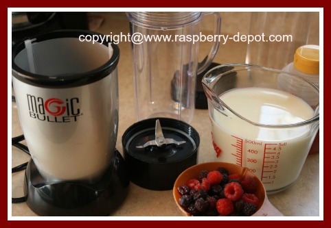What you need to make a Raspberry Smoothie or Milkshake