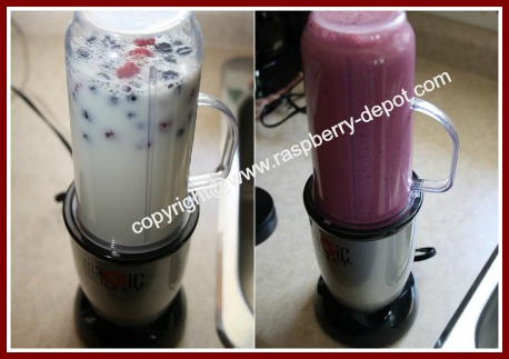 magic bullet blender smoothie recipes