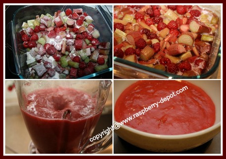 Making Raspberry Ice Cream