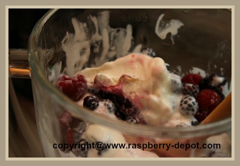 Making Raspberry Milkshake in Blender How to Make it