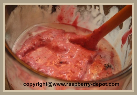 Recipe for How to Make Raspberry Milkshake