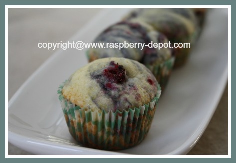 Mini Raspberry Muffins 