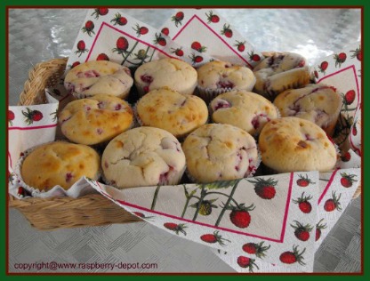 Raspberry Muffins with Fresh Raspberries