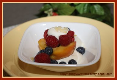 Yogurt with Fresh Fruit - raspberries, blueberries and peaches! CAN make with ANY fruit!