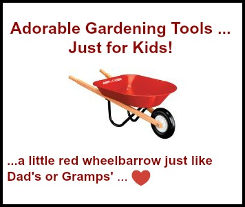 Kid's Size Wheelbarrow Just Like Daddy's