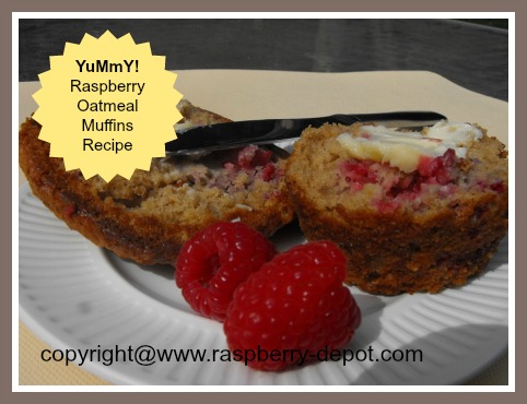 Healthy Raspberry Muffins made with fresh or frozen raspberries and oatmeal