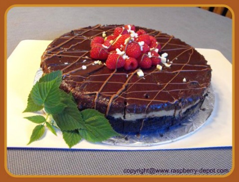 Chocolate Raspberry Cheesecake Recipe with Irish Cream Liqueur