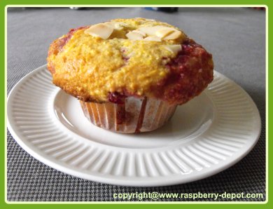 Yummy Raspberry Muffins made with Cornmeal