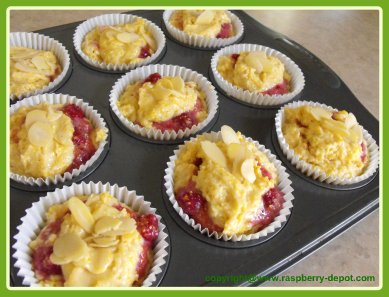 Making Raspberry Muffins - Raspberry Cornmeal Muffins Recipe