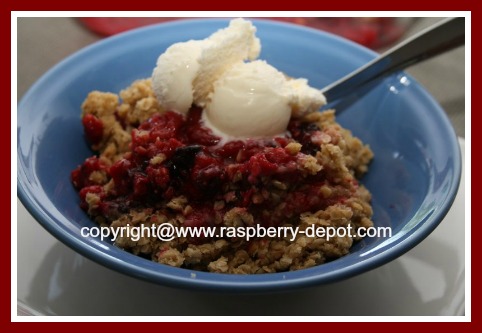 Raspberry Crumble Recipe with Oatmeal Topping