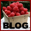 Raspberry Depot Recipes Blog Logo