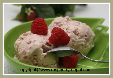 Best Raspberry Ice Cream Recipe to Make Ice Cream At Home
