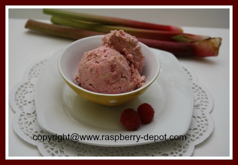 Raspberry Ice Cream Recipe to Make