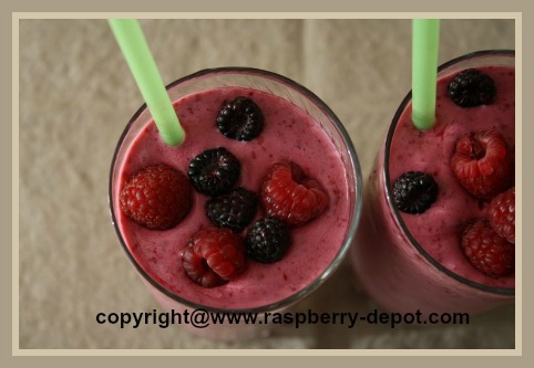 Homemade Raspberry Milkshake with Ice Cream and Yogurt